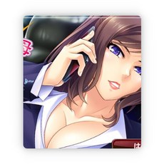 T260 對霸淩者的抖S母親進行 的制裁！紳士回廊雲翻 PC遊戲 新漢化