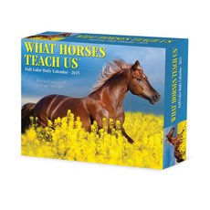 (英文圖書)What Horses Teach Us 2026 5.4 X 6.2 Box Calendar Spiral, Willow Creek Press Calendars, 英文, 螺旋裝訂
