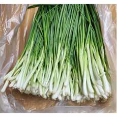 [당일 아침수확] 오전 선별 깐 쪽파 알싸하고 달달한 쪽파, 1개, 1kg