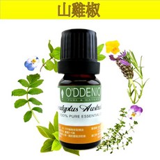 O'DDENIO 山雞椒精油, 1個, 山雞椒10ml