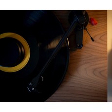 沐耳 Pro-Ject 黑膠唱盤 Debut Carbon EVO 胡桃木（2M Red 唱頭）搭原廠唱片鎮, 胡桃木