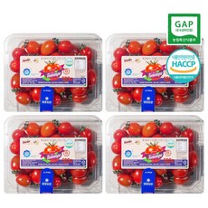 고당도 스테비아 대추 방울 토마토 토망고 500g 4팩 2kg, 4개