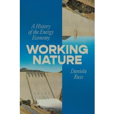 (영문도서)Working Nature: A History of the Energy Economy Paperback, Verso, English, 9781804298978