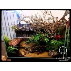 蛋叔叔 3尺超白魚缸 (90x45x45cm) - 90cm/三尺/水草缸/ADA/魚缸/開放缸/優白缸/10mm, 1個, 台產方形優白(90x45x45cm)