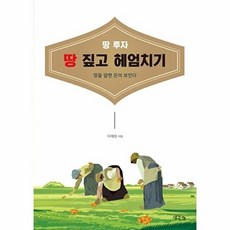 땅 투자 땅 짚고 헤엄치기:땅을 알면 돈이 보인다, 생각나눔, 이제성 저