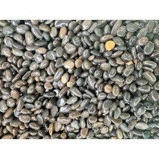 亞馬遜河砂 黑扁石 黑膽扁石 35元 魚缸底砂盆栽石 多肉植物裝飾, 1個, 1.2分 1KG, 黑色