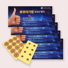 음양자기방 600(넘버원 600) 자기방패치 관절 어깨 무릎 손목 근육통 허리통증 파스 통증 패치 동전 파스, 5개