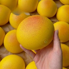 쫀득베이커리 버터 메론 호빵 빵말랑이 스퀴시 스퀴지, 버터브레드