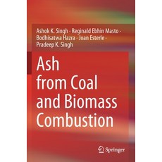 (영문도서) Ash from Coal and Biomass Combustion Paperback, Springer, English, 9783030569839