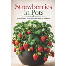 (영문도서)Strawberries in Pots: Continuous Year-Round Harvests at Home Paperback, Independently Published, English, 9798199001953