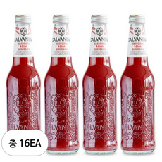 갈바니나 유기농 블러드오렌지 소다수, 16개, 355ml