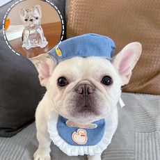 웨버몰 반려동물 털 보관 키링, 1개, 투명