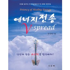 能量傳輸 V-SPREAD：引領千年的顱薦椎治療(CST)新典範, 金善愛 著, 甲乙牌