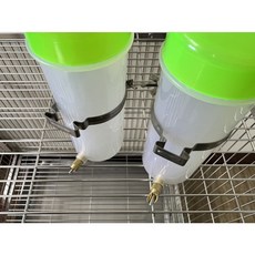 撞針式特大自動飲水器400cc, 1個, 加購白鐵束環2公分
