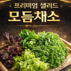 [당일수확] 국내산 유러피안샐러드 믹스 산지직송, 1박스, 2kg