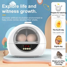 호환 계란 6 개 자동 인큐베이터 알 부화 기계 지능형 온도 제어 메추라기 앵무새 인공 부화기 농장 EU/USPlug