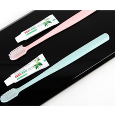 케일 에코메니티 밀짚 칫솔치약 덴탈킷 블루5+핑크5 세트, 1세트
