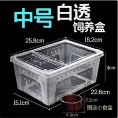 파충류 사육 상자 탈출 방지 이중문 수생용 소형 중형 대형 거미 및 애호가용 할로윈 선물, 05 M