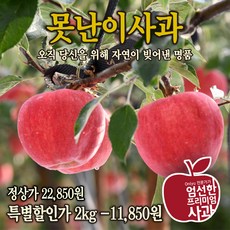 산지직송 안동 꿀사과 초고당도 못난이사과, 1박스, 2kg (소꼬마과)