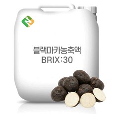 블랙마카농축액 30Brix 200g 샘플, 1개