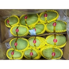 Thomy 베트남 그린망고 께오(xoai keo) 700~800g 1.1~1.3kg 1.5kg 2.5kg 5kg, 1박스, 5KG(13EA~16EA)