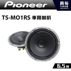 Pioneer TS-M01RS 6.5吋車用喇叭, 1個