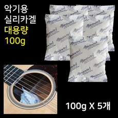 기타 제습제 실리카겔 대용량 장마철 악기관리 파워 100g, 5개