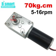웜기어 모터 12V 24V 역방향 12-470rpm DC 고토크 3.4-70kg 커튼 커튼 기계용 자동 잠금 장치 맞춤형 홈 장, 04 27rpm, 02 24V, 01 Package A