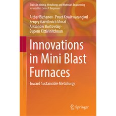 (영문도서) Innovations in Mini Blast Furnaces: Toward Sustainable Metallurgy Hardcover, Springer, English, 9783031875649