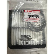 Suzuki 原廠 GSX 250 小阿魯250 空氣濾清器 13700-41810-000