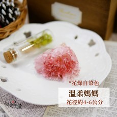 極度花燥 永生康乃馨 花材, 【永生康乃馨】溫柔媽媽 花燥獨家,一朵