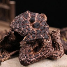 자연산 능이버섯 냉동능이, 10개, 1kg