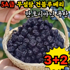 [유기농]프리미엄 건조 블루베리 무설탕 건조 블루베리 무설탕 건블루베리 100%, 5개, 100g
