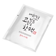대한민국 핫팩 붙이는 파스형 50g, 10개
