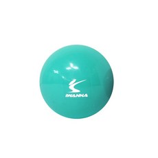 아이워너 PVC 웨이트볼 민트 1.5kg 홈트 스트레칭 휴대용 헬스 운동RUL+2315, 단일색상_단일사이즈