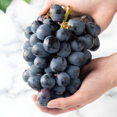 [하루딱30박스] 20Brix 씨없는 블랙 아도라포도, 1박스, 1kg