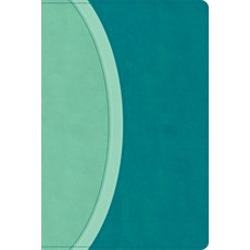 (영문도서)CSB Rainbow Study Bible Teal Leathertouch (Limited Edition) Imitation Leather, Holman Bible Publishers, English, 9798384534242