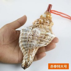 나각 뿔나팔 뿔 피리 소라 고둥 트럼펫 초대형 공예 호루라기 조개 관악기 천연 피리 나팔 개인용 가정용 업소용, 1개, F. 적권 특대호 8cm 3마리