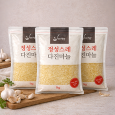 [내일도착보장] 국내산 정성스레 다진마늘 간마늘, 1kg, 3개