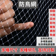 果園防鳥網 尼龍網 抗老化 多尺寸選擇, 1個, 寬5米*長6米 2.5公分網孔
