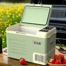 자동차 냉장고 12V/24V 캠핑 냉동고, 16L 자동차용 12V/24V, 16L