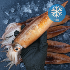 미자네농수산 냉동 세척 통찜용 선동오징어, 1개, 1kg(7~9미내외)