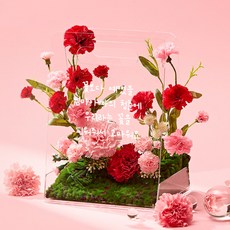 리비트 어버이날 선물 카네이션 플라워백 - 미니 M (2종 모음), 카네이션(미니), 1개
