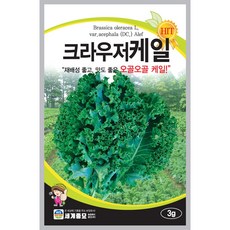 세계종묘 크라우저케일 씨앗 3g, 1개