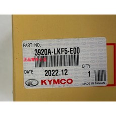 光陽正廠 刺激 XCITING 400 LKF5 噴油系統控制電腦 控制器組, 1個