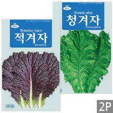 세인화분 적겨자 청겨자 씨앗 2종 소포장 - 겨자씨 쌈채소, 1세트