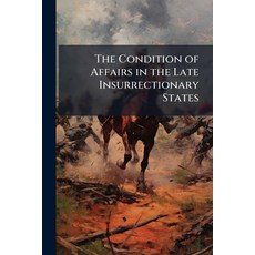 (영문도서)The Condition of Affairs in the Late Insurrectionary States Paperback, Nabu Press, English, 9781145570832