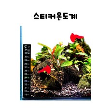 (꽃물아쿠아)스티커온도계 어항온도계 베타항온도계
