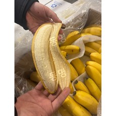 후숙킹 쥬스용 낱발 노란달 바나나 가정용 대용량, 1kg