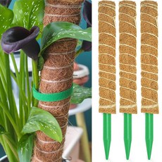 글로우바이 썩지않는 플라스틱 수태봉 코코봉 식물지지대 52cm, 3개